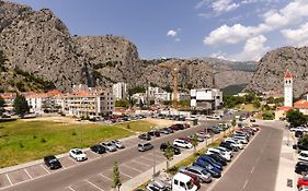 Green 'N Grey Omis